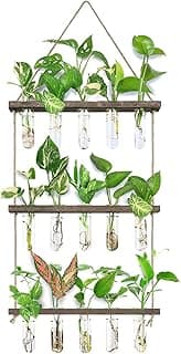 XXXFLOWER Wall Hanging Propagation Station with Wooden Stand 5 Glass Test Tubes 3 Tiered Planters Wall Terrarium for Home Office Plant Hang...