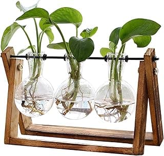 XXXFLOWER Plant Terrarium with Wooden Stand, Air Planter Bulb Glass Vase Metal Swivel Holder Retro Tabletop for Hydroponics Home Garden Off...