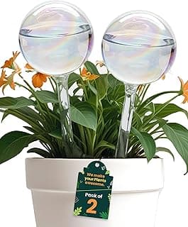 Iridescent Self Watering Globes, Glass Rainbow Plant Watering Globes, Self Watering Planter Insert, Automatic Plant Waterer Indoor (Medium-...